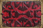 morepic-1